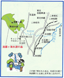 遠藤ヶ滝水源の森