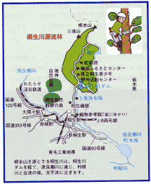 桐生川源流林