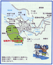 城峰神の泉水源の森