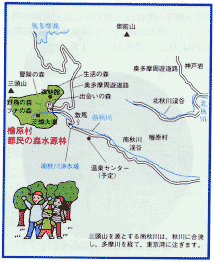 檜原村都民の森水源林
