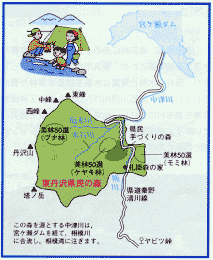 東丹沢県民の森