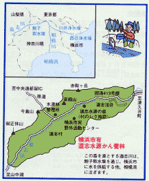 横浜市有道志水源かん養林