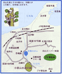 小原山水源の森
