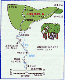 上根来水源の森