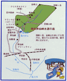 御岳昇仙峡水源の森