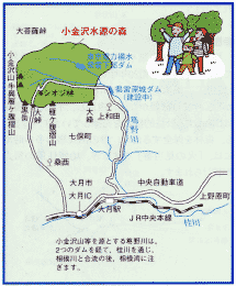 小金沢水源の森