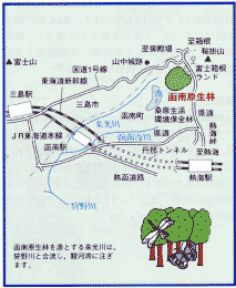 函南原生林