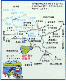 段戸裏谷原生林