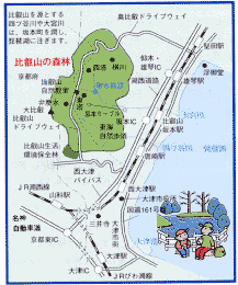 比叡山の森林