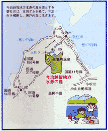 今治越智地方水源の森