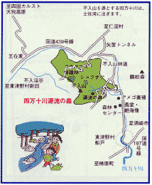 四万十川源流の森
