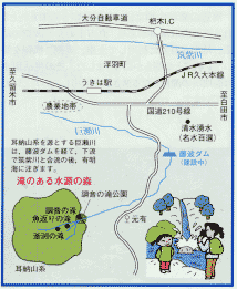 滝のある水源の森