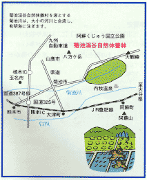 菊池渓谷自然休養林