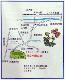 黒岳水源の森