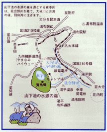 山下池の水源の森