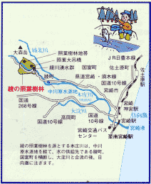 綾の照葉樹林