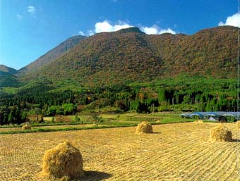 黒岳水源の森