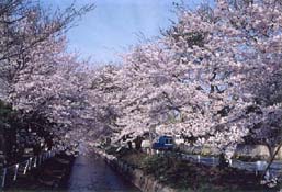 稲生川用水