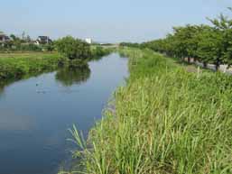 渡良瀬川沿岸
