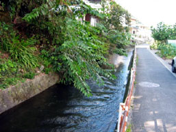 八木用水