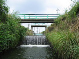 江連用水