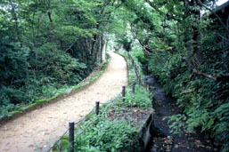 辰巳用水