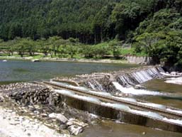 南家城川口井水