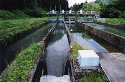 波田堰