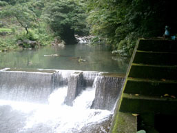 新井手用水