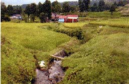 大山用水