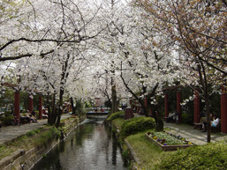 西川用水