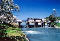 大井川用水