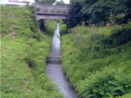 諏訪堰