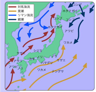 採貝・採藻漁場