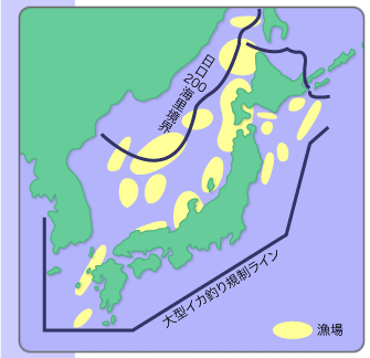 沖合イカ釣り漁場