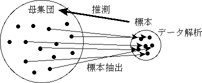 母集団と標本