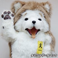 犬一の画像