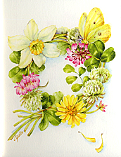 楽・ぬり絵シリーズ　POST CARD　ぬり絵　「四季の花」 デザイン／吉川裕子