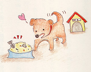 方言「したったか」のイラスト